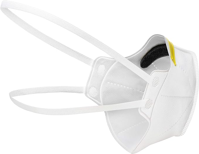 200/CS Flat-fold N95 Respirators L-188